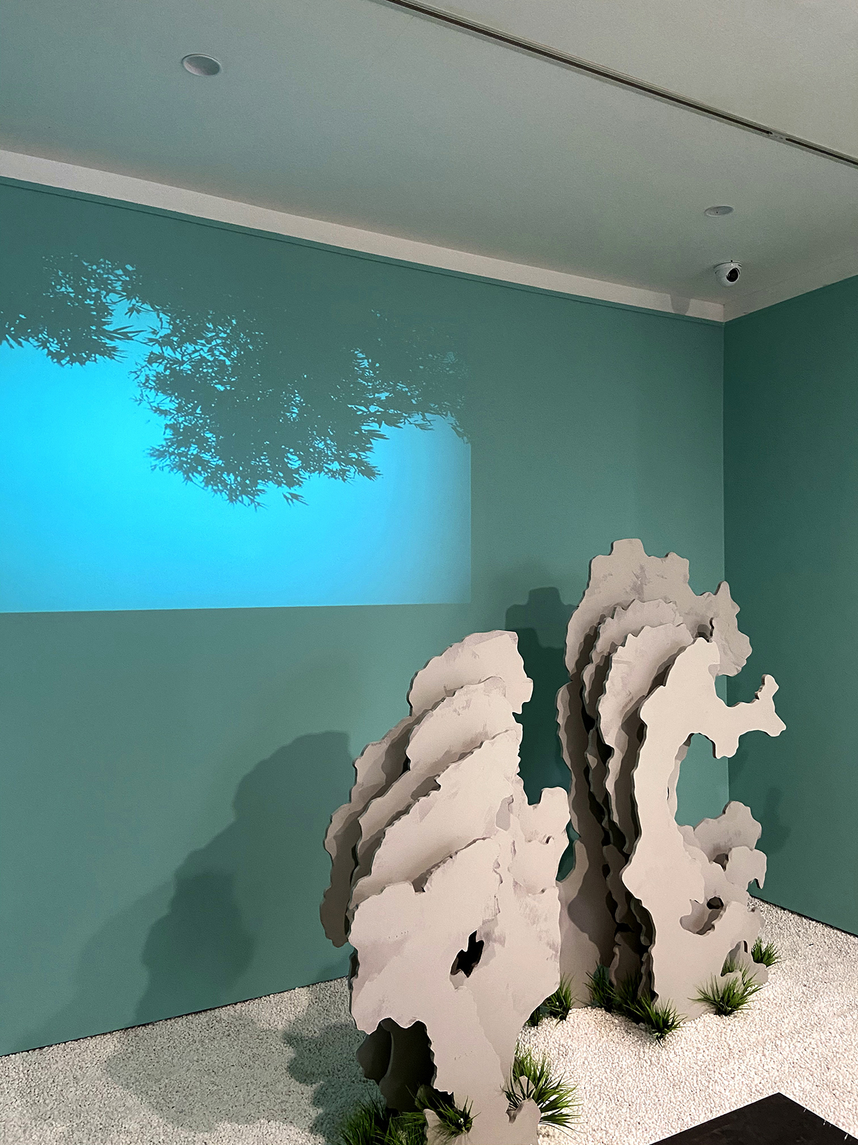 IMG_3741.jpg IMG_3741.jpg